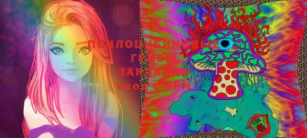 гашиш Няндома