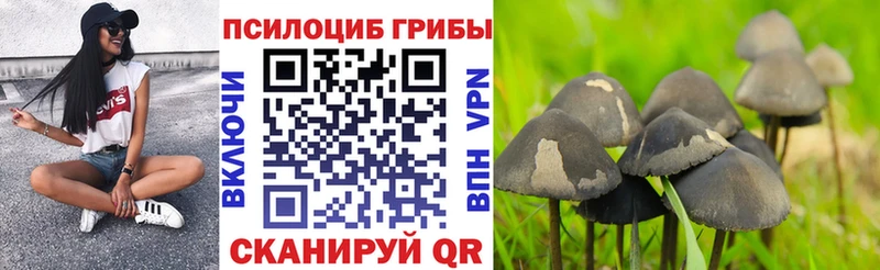 Галлюциногенные грибы ЛСД  Купить где  Кадников 